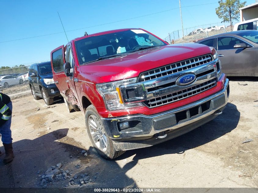 2019 FORD F-150 XLT