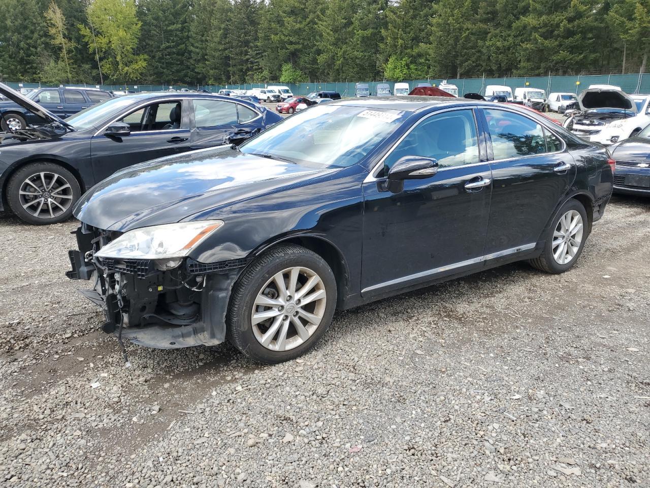 2010 LEXUS ES 350