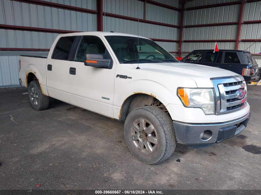 2011 FORD F150 SUPERCREW