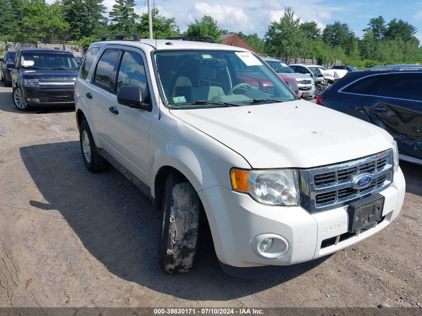 2011 FORD ESCAPE XLT