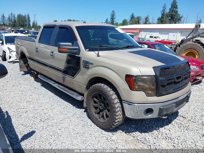 2010 FORD F-150 FX4/HARLEY-DAVIDSON/KING RANCH/LARIAT/PLATINUM/XL/XLT