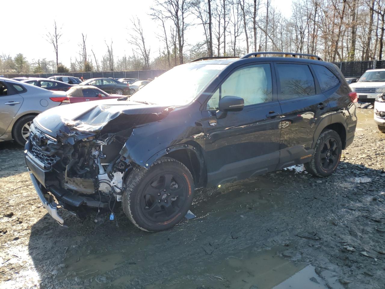 2023 SUBARU FORESTER WILDERNESS