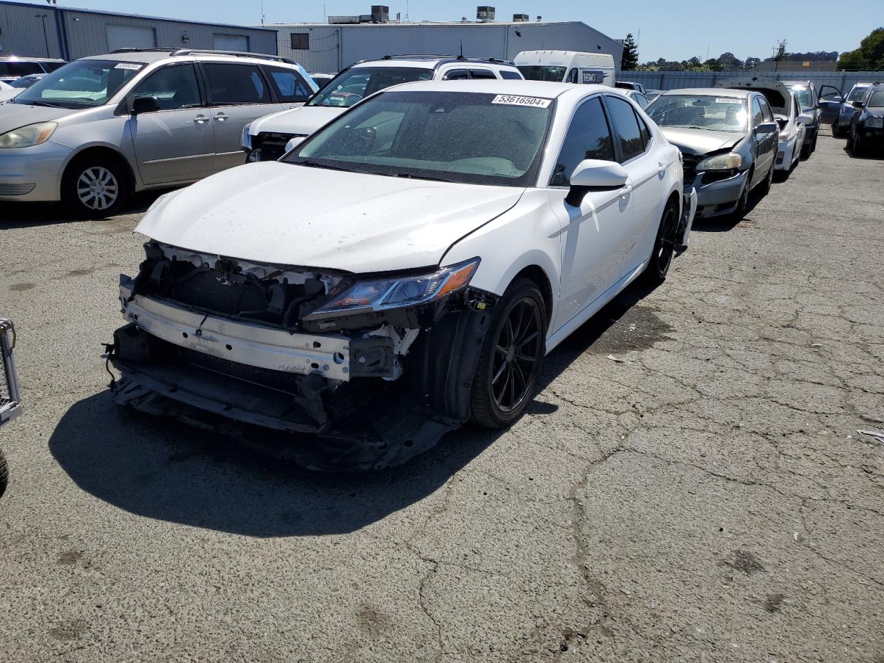 2019 TOYOTA CAMRY L