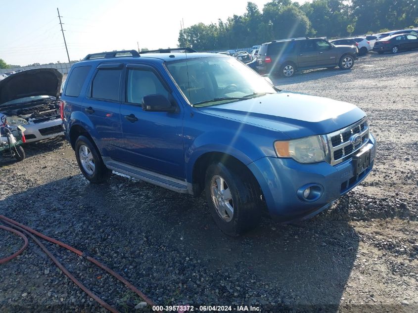 2010 FORD ESCAPE XLT