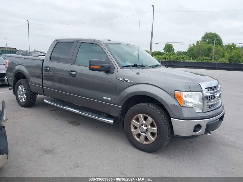 2013 FORD F-150 XLT