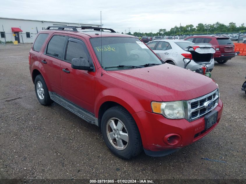 2011 FORD ESCAPE XLT