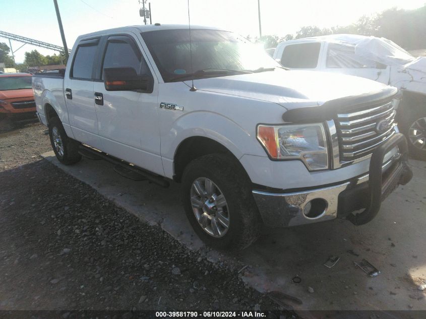 2010 FORD F-150 FX4/HARLEY-DAVIDSON/KING RANCH/LARIAT/PLATINUM/XL/XLT