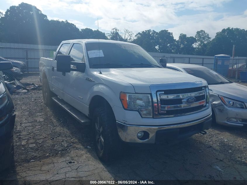 2014 FORD F-150 XLT