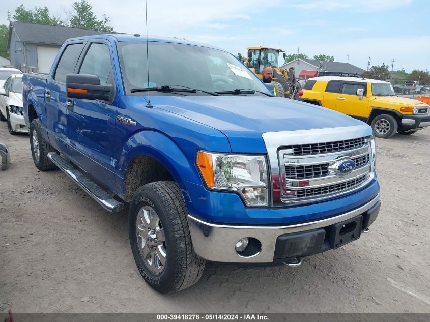 2014 FORD F-150 XLT