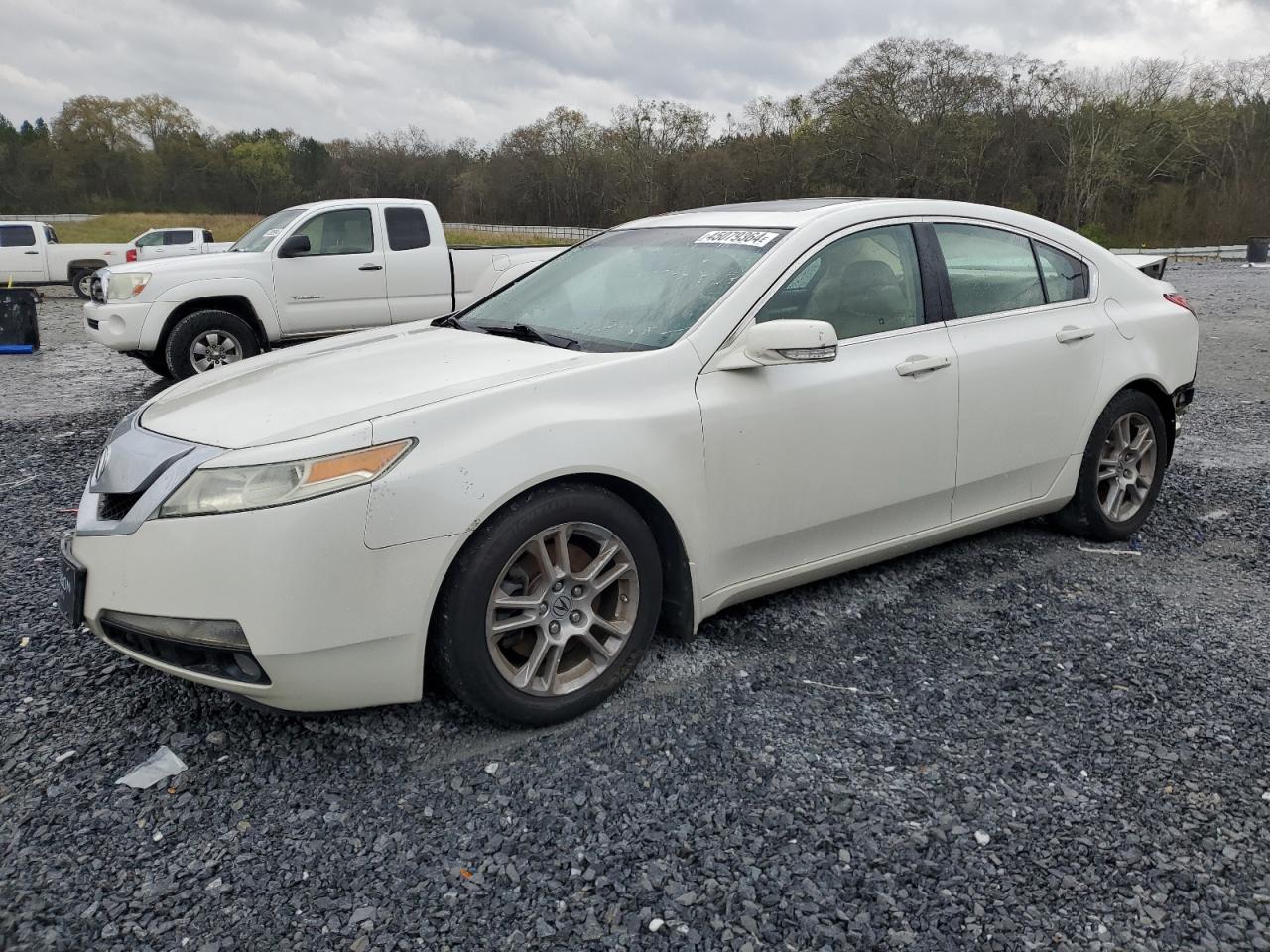 2010 ACURA TL