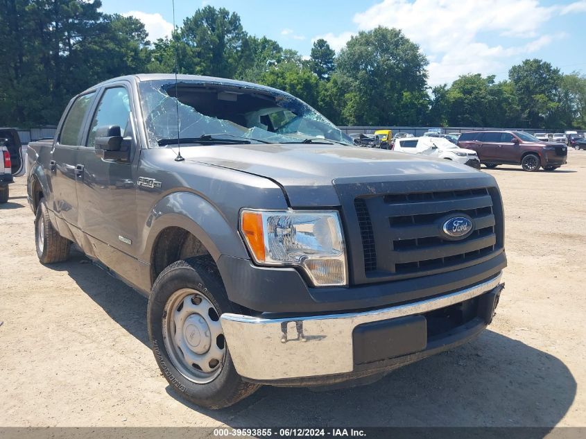 2012 FORD F-150 XL