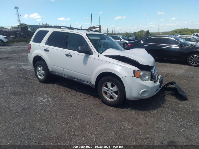 2010 FORD ESCAPE XLT