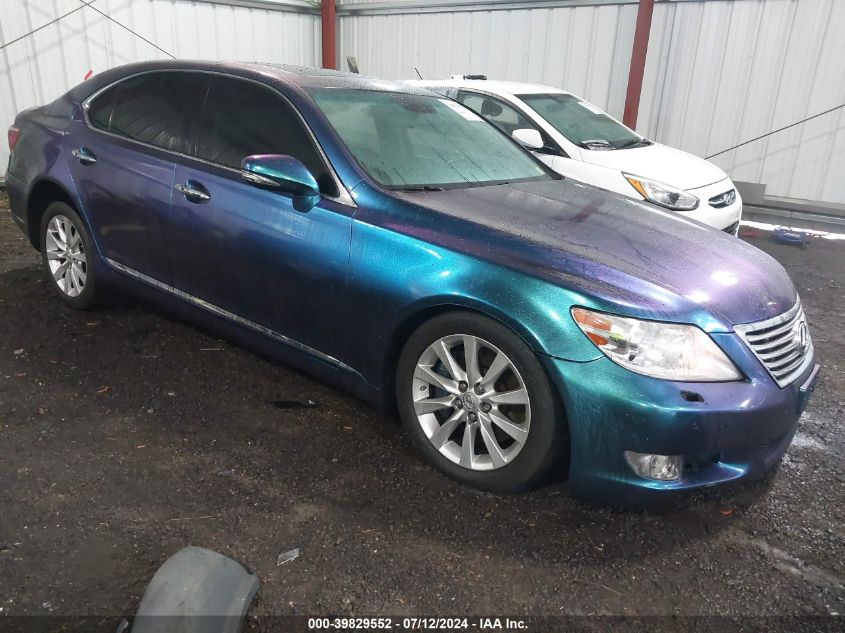 2010 LEXUS LS 460