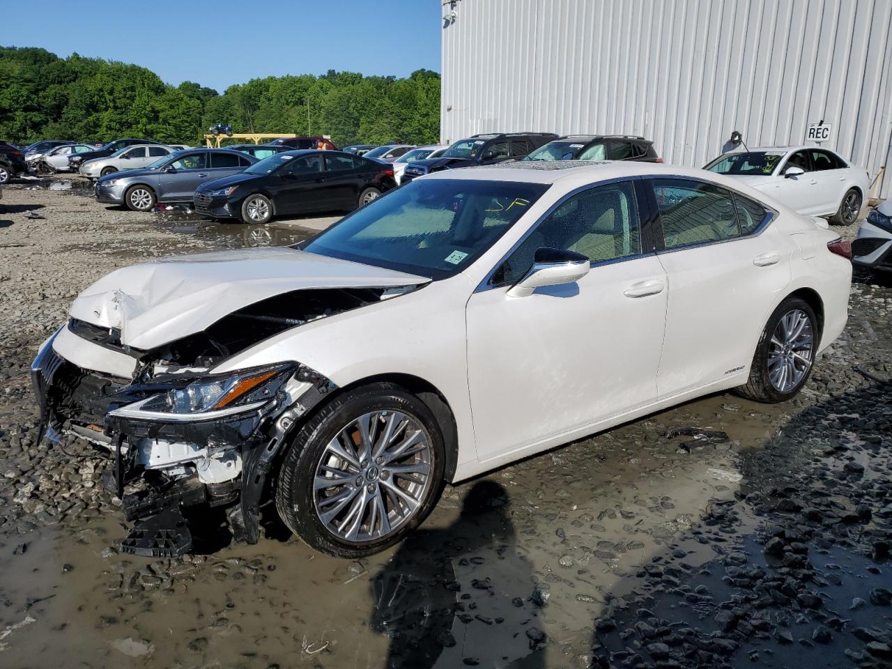 2020 LEXUS ES 300H