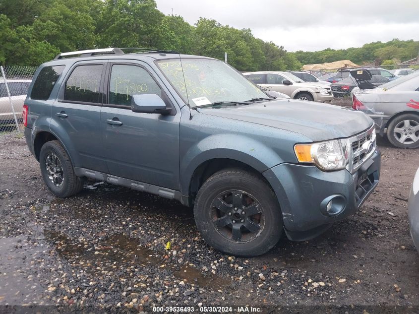 2010 FORD ESCAPE LIMITED