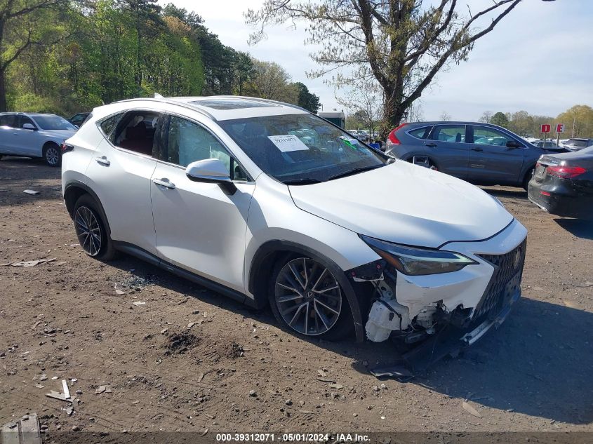 2022 LEXUS NX 350