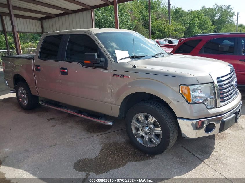 2010 FORD F-150 XL/XLT