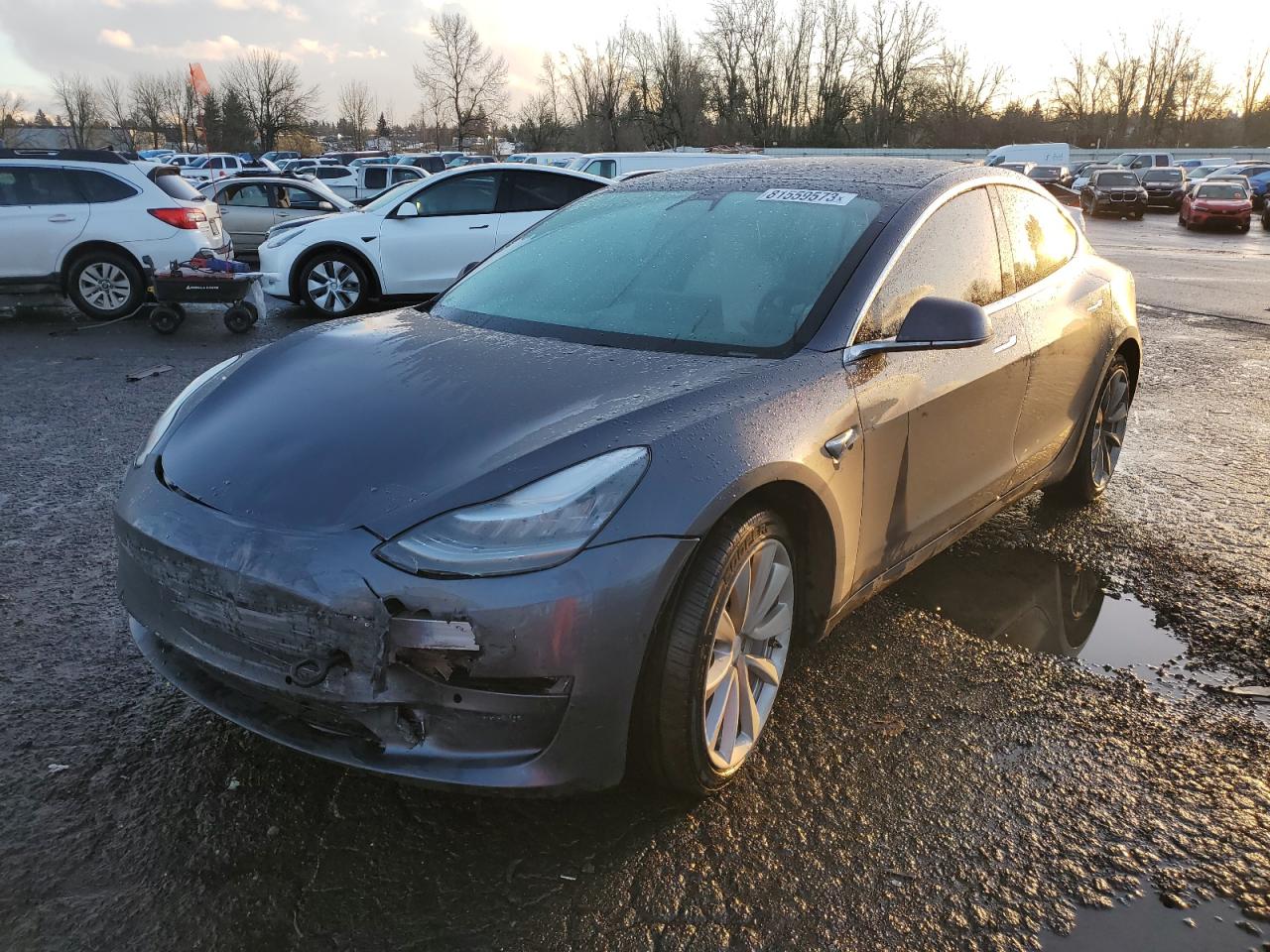 2019 TESLA MODEL 3