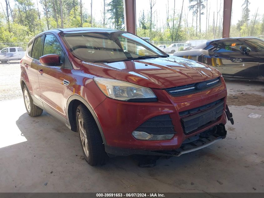 2014 FORD ESCAPE SE