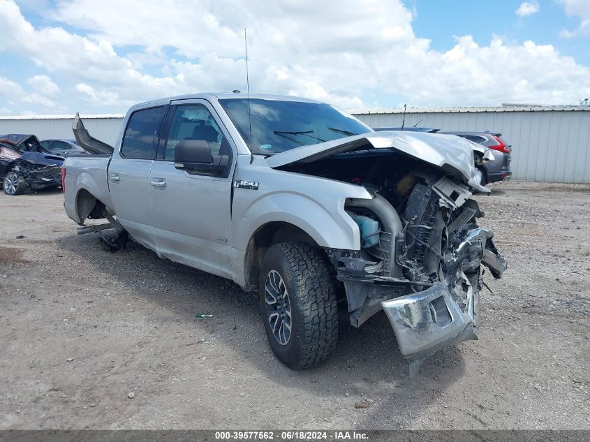 2015 FORD F-150 XLT