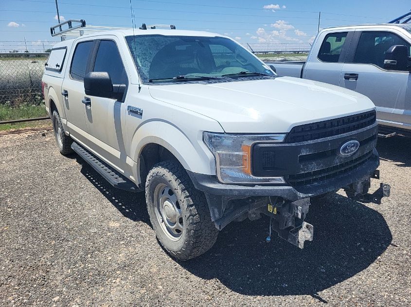 2020 FORD F-150 XL