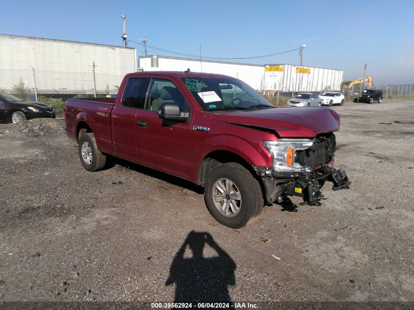 2019 FORD F-150 XLT