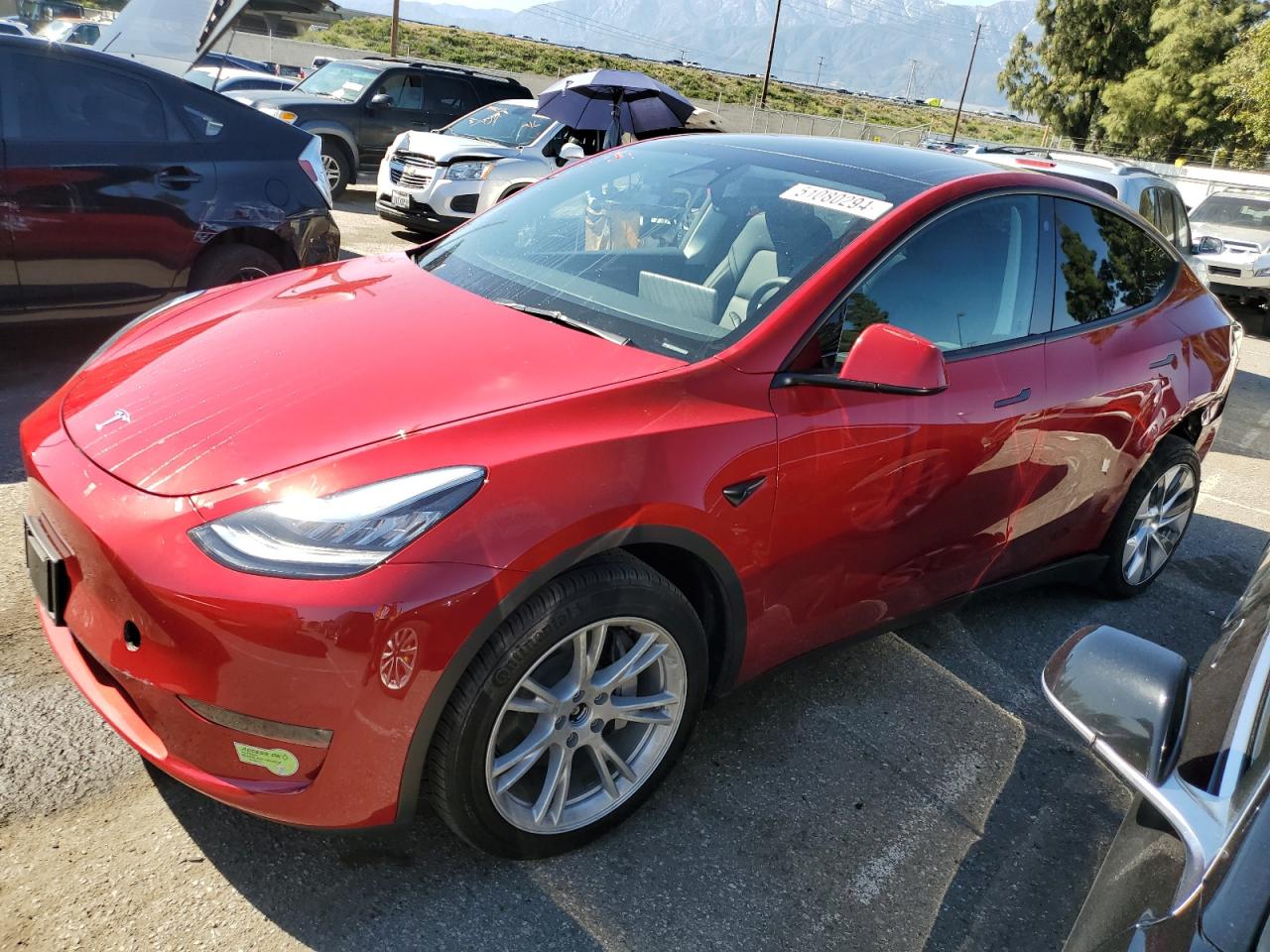 2023 TESLA MODEL Y