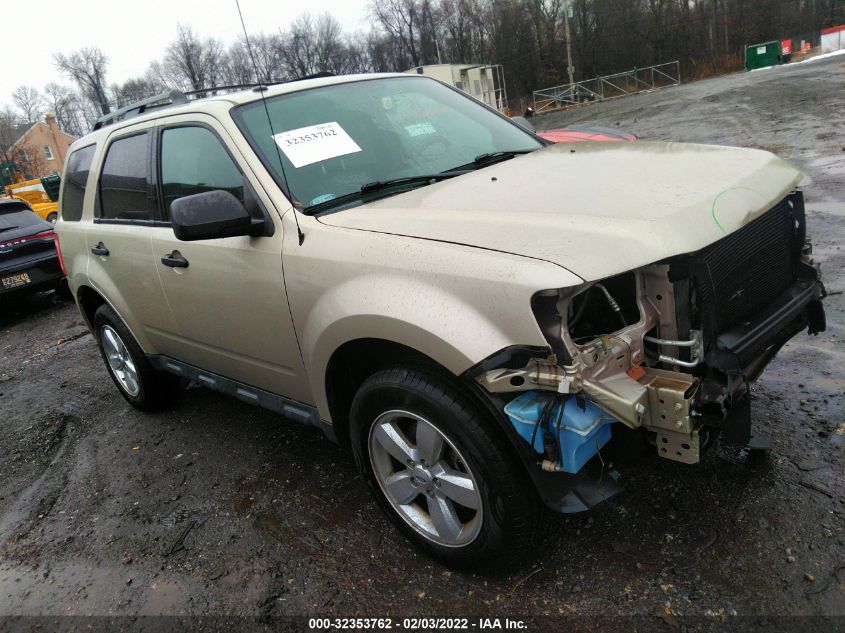 2012 FORD ESCAPE XLT