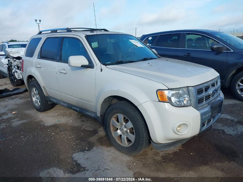 2010 FORD ESCAPE LIMITED