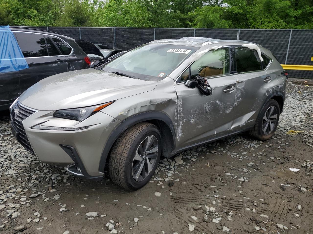 2019 LEXUS NX 300H