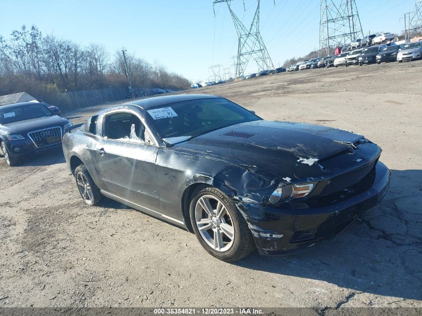 2010 FORD MUSTANG V6/V6 PREMIUM