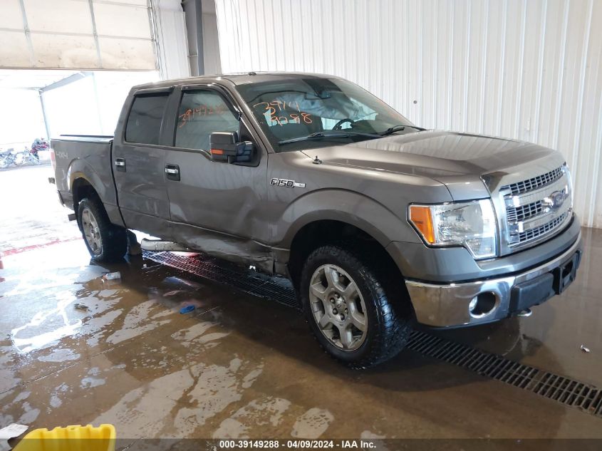 2013 FORD F-150 XLT