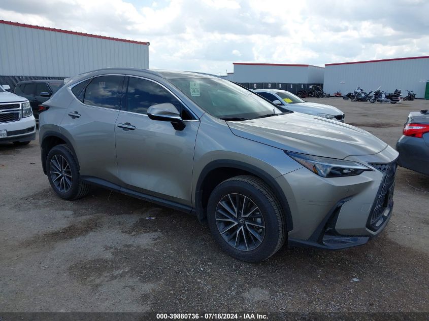 2024 LEXUS NX 250 PREMIUM