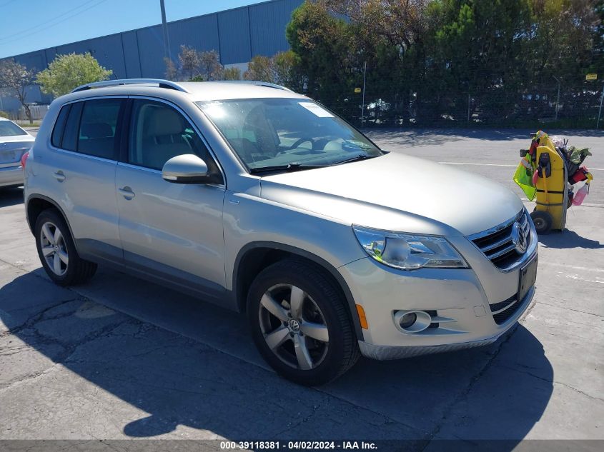 2010 VOLKSWAGEN TIGUAN WOLFSBURG EDITION