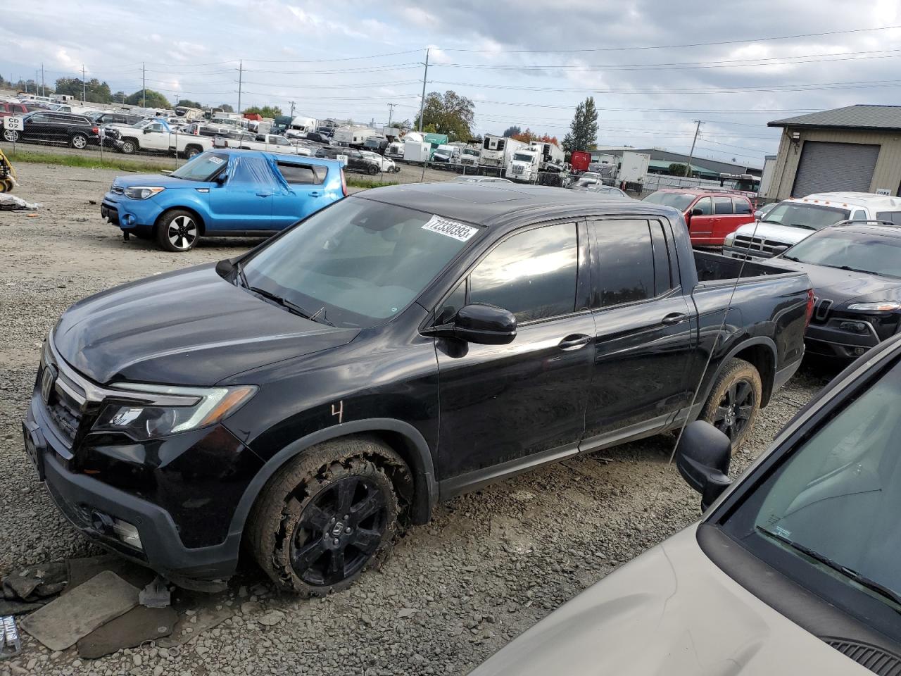 2019 HONDA RIDGELINE BLACK EDITION