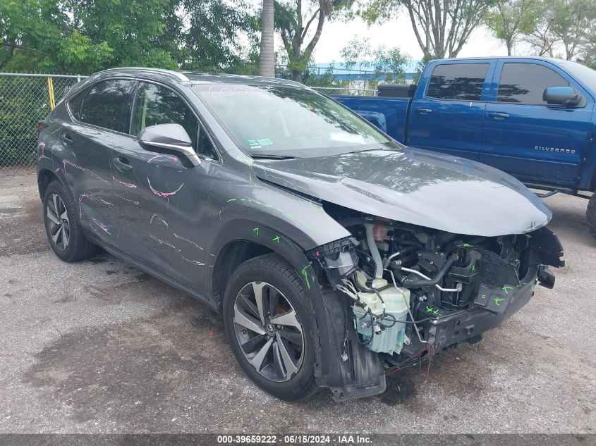 2019 LEXUS NX 300 BASE/300 F-SPORT