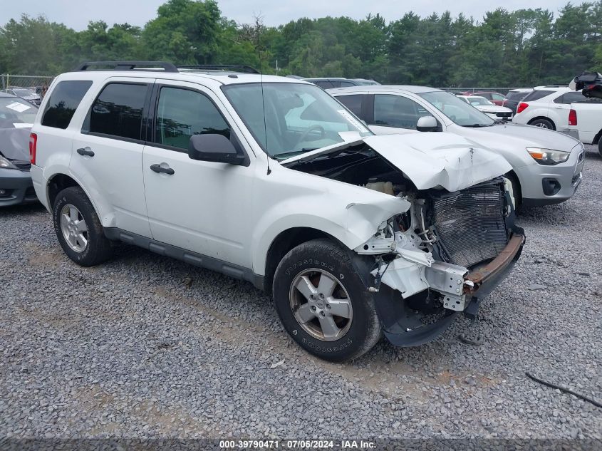 2012 FORD ESCAPE XLT