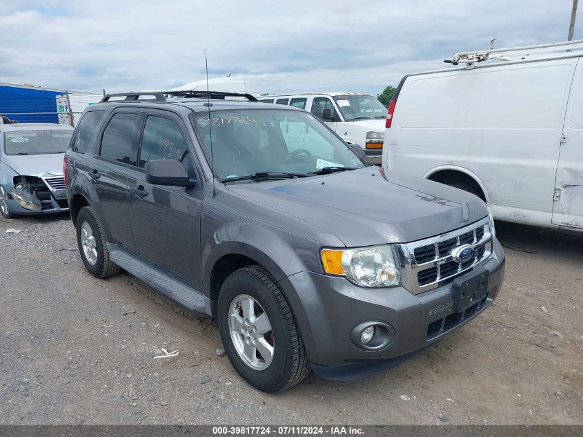 2011 FORD ESCAPE XLT