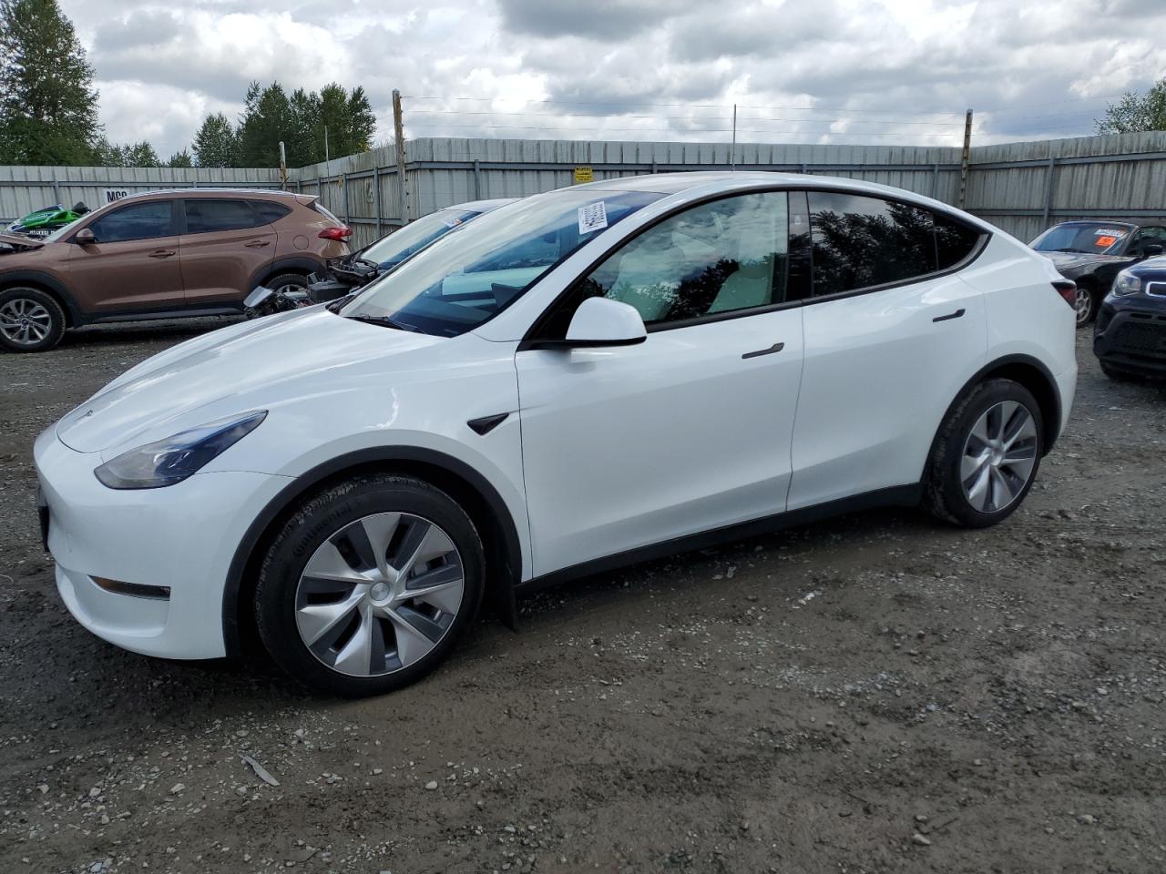 2023 TESLA MODEL Y