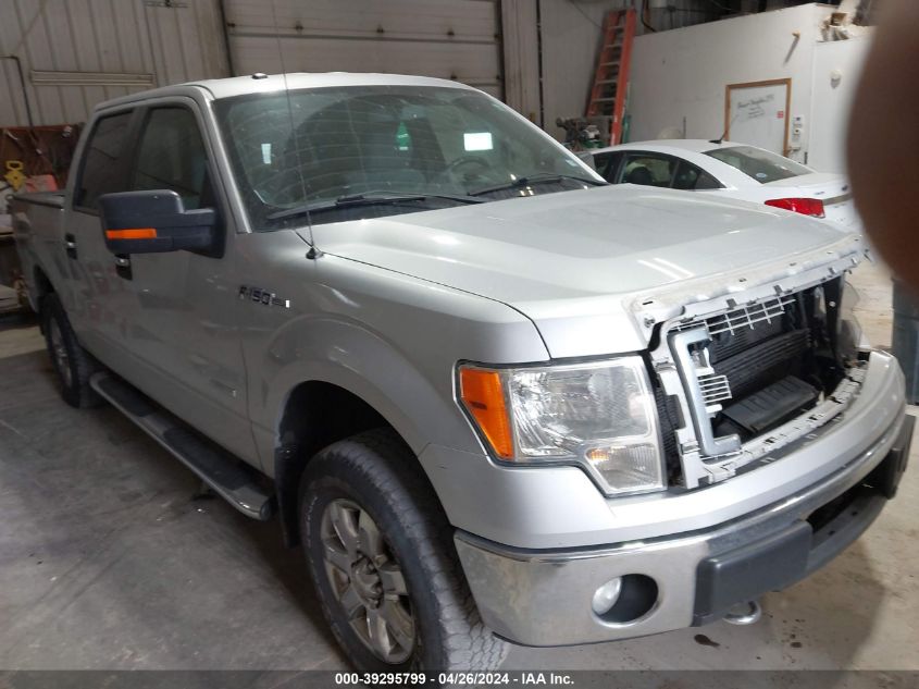 2013 FORD F-150 XLT