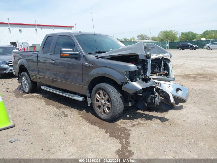 2013 FORD F-150 XLT