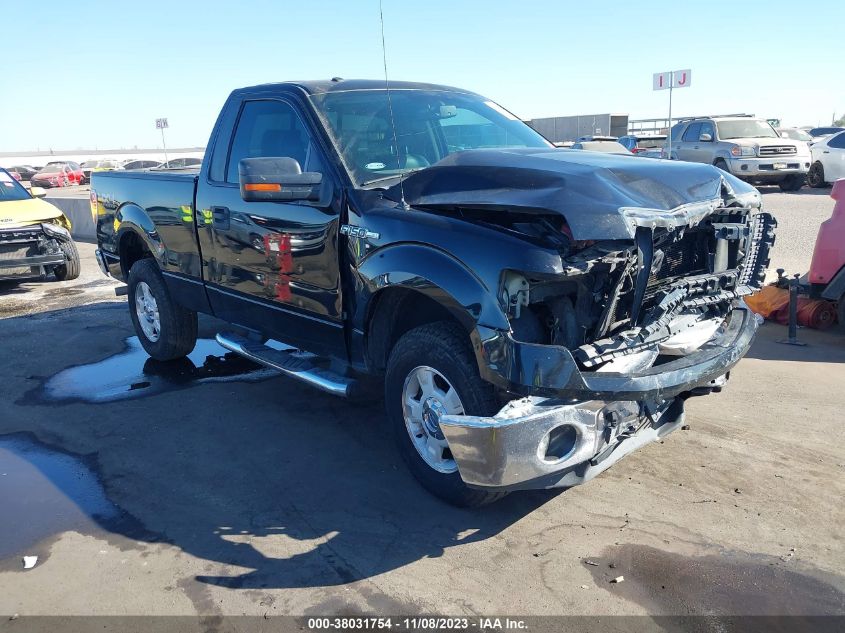 2011 FORD F-150 XLT