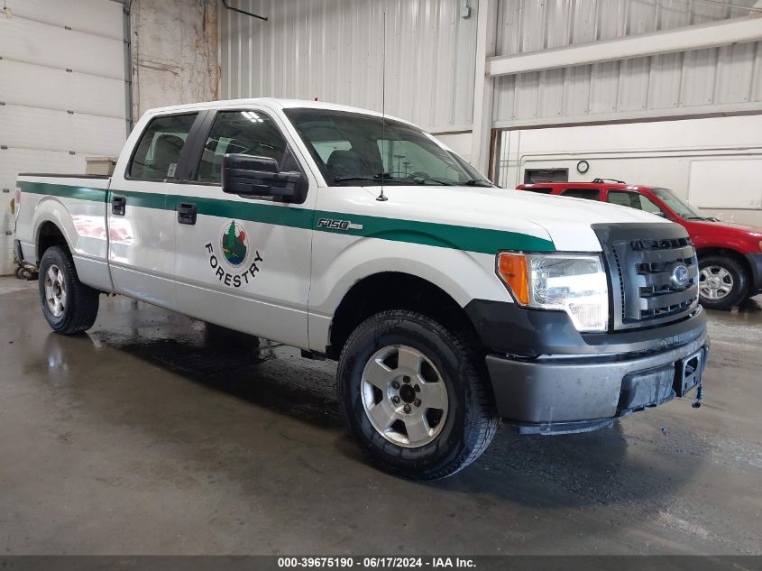 2011 FORD F-150 XL