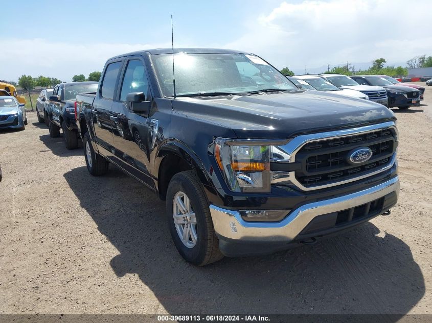 2023 FORD F-150 XLT