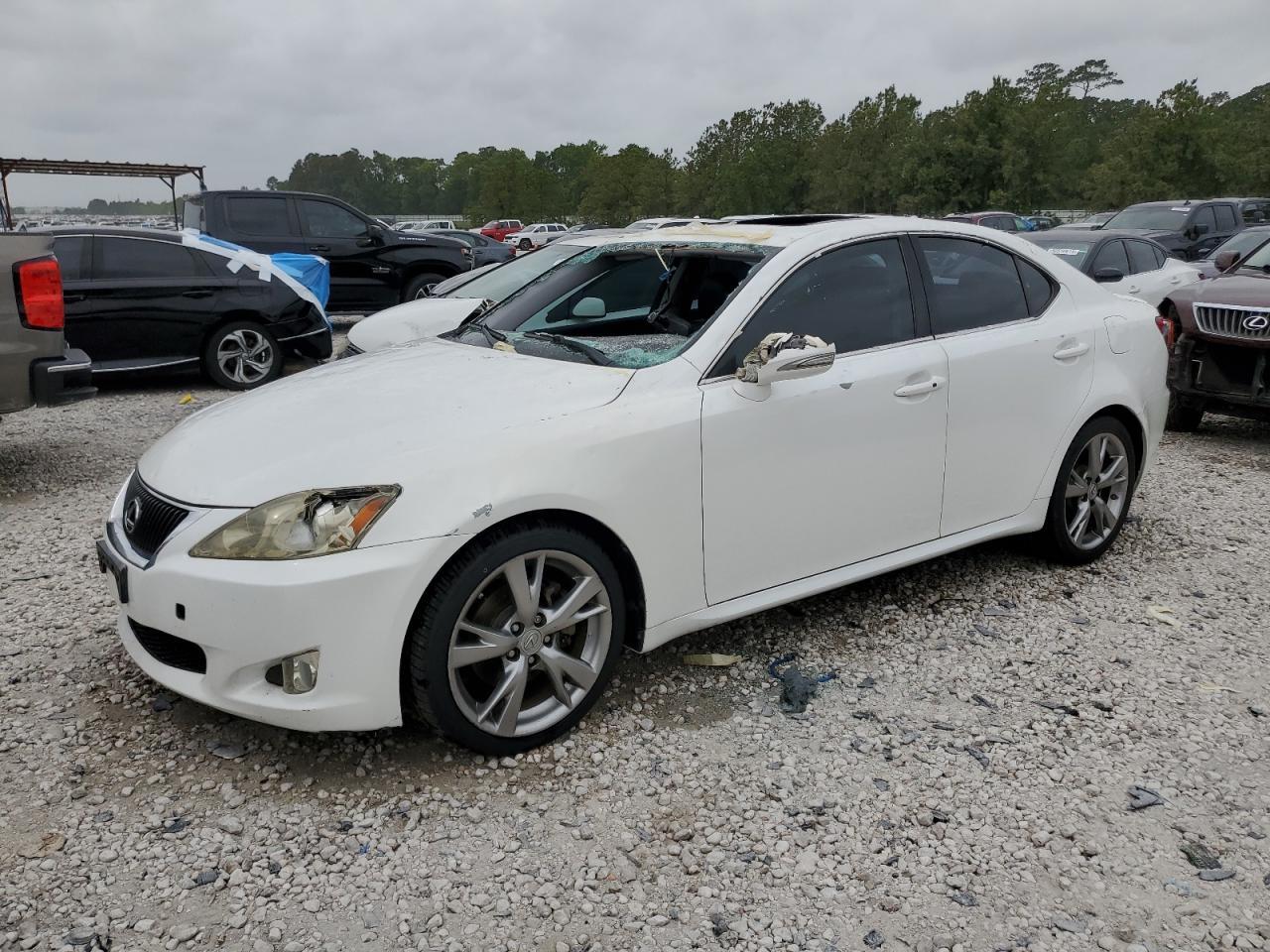 2010 LEXUS IS 250