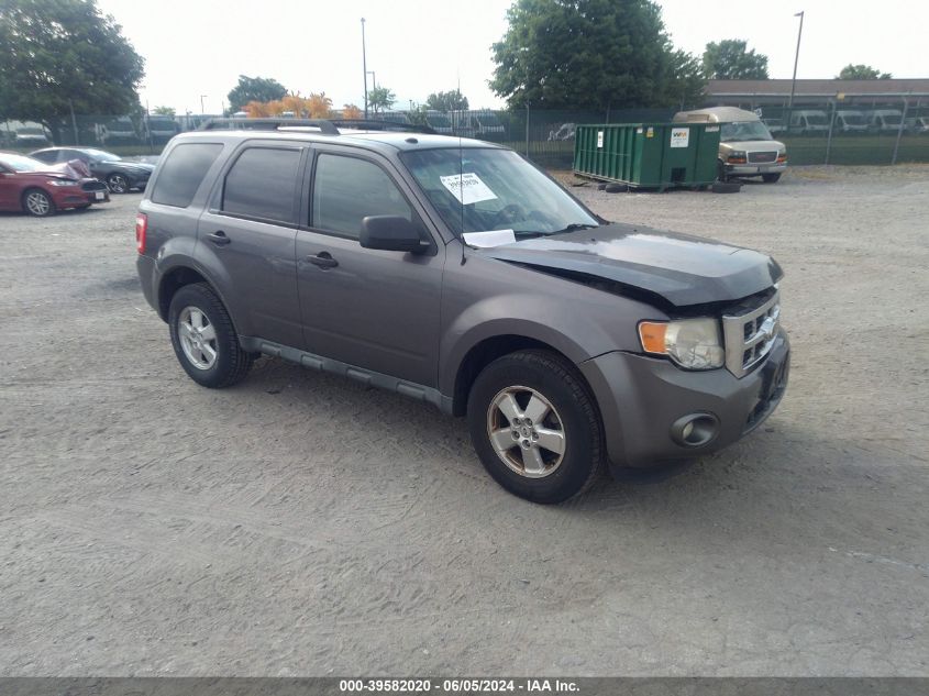 2011 FORD ESCAPE XLT