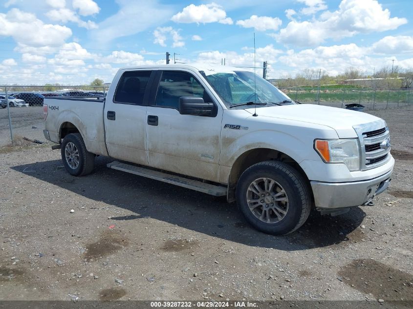 2013 FORD F-150 XLT