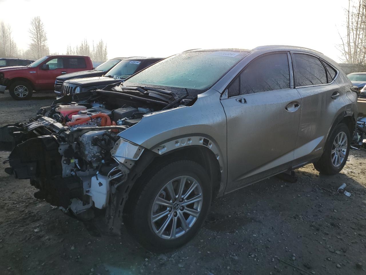 2019 LEXUS NX 300H