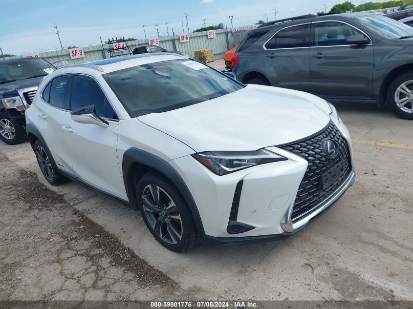 2019 LEXUS UX 250H