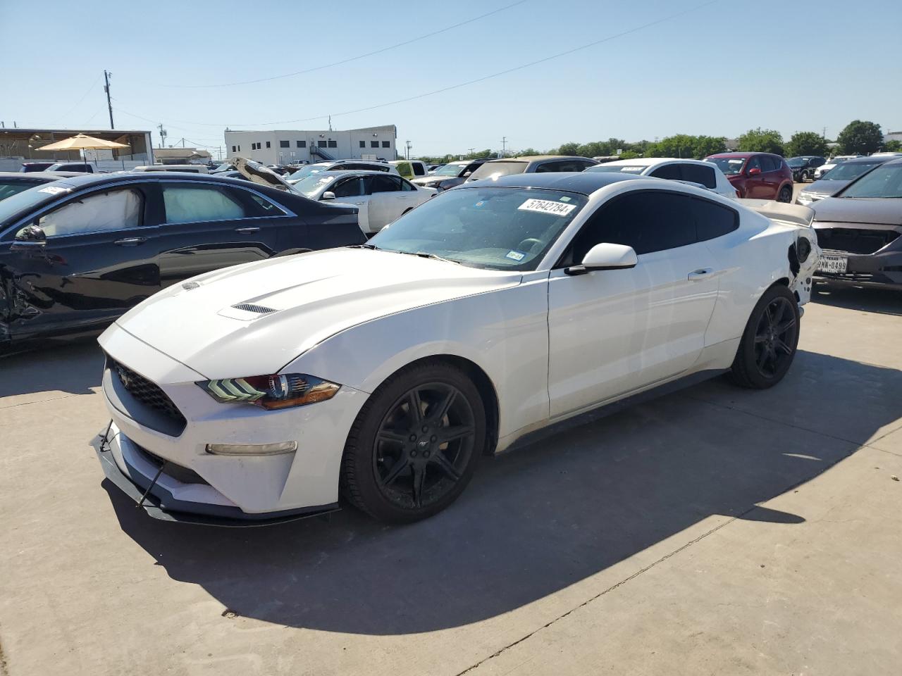 2019 FORD MUSTANG